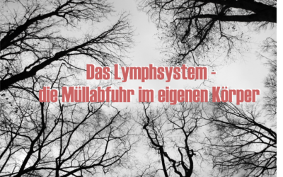 Wie wichtig ist die Reinigung unseres Lymphsystems?