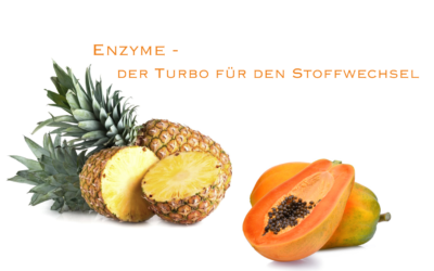 Enzyme – der Turbo für den Stoffwechsel